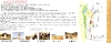 Introduction to Yellow River Scenic Area, Zhengzhou city, Henan province